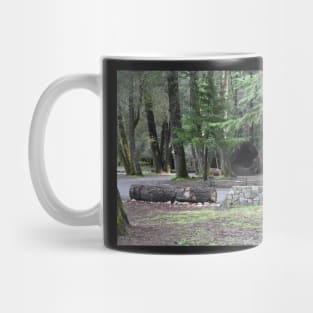 Fallen Coast Redwood Mug